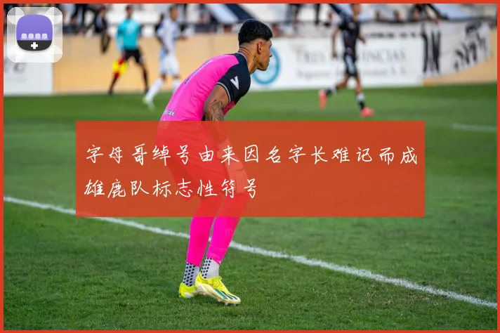 字母哥绰号由来因名字长难记而成雄鹿队标志性符号