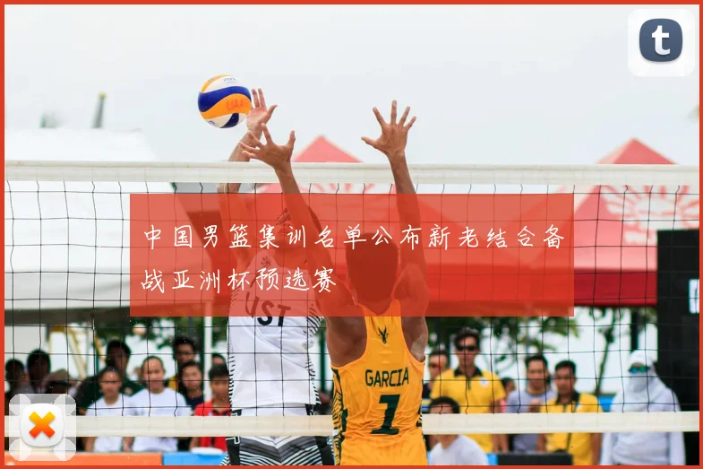 中国男篮集训名单公布新老结合备战亚洲杯预选赛