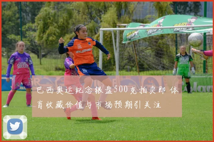 巴西奥运纪念银盘500克拍卖即 体育收藏价值与市场预期引关注