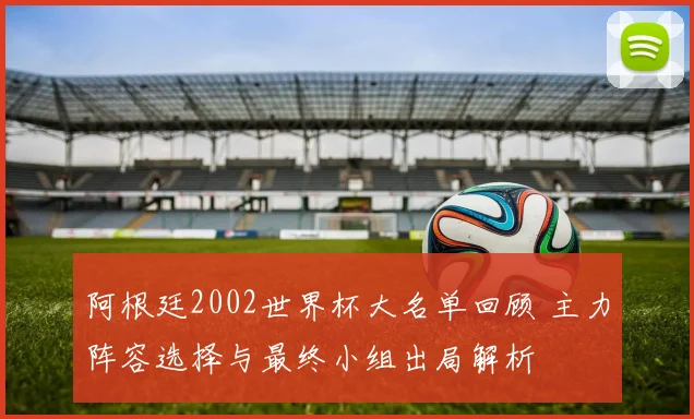 阿根廷2002世界杯大名单回顾 主力阵容选择与最终小组出局解析
