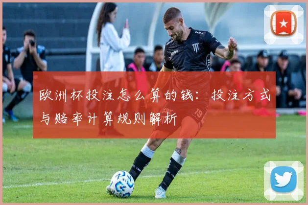 欧洲杯投注怎么算的钱：投注方式与赔率计算规则解析