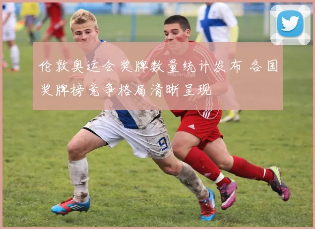 伦敦奥运会奖牌数量统计发布 各国奖牌榜竞争格局清晰呈现
