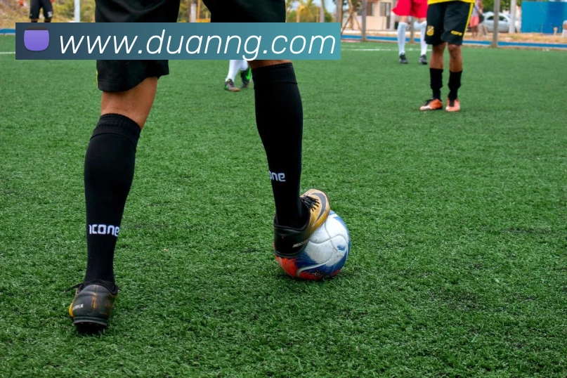 灰熊队赛程出炉连续客场考验轮换阵容深度成看点